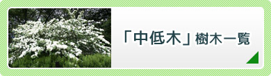 「中低木」樹木一覧