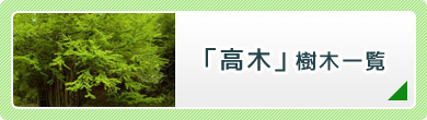 「高木」樹木一覧